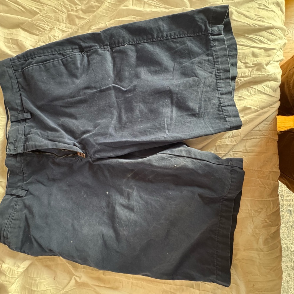 Banana Republic Striped Blue Emerson Shorts